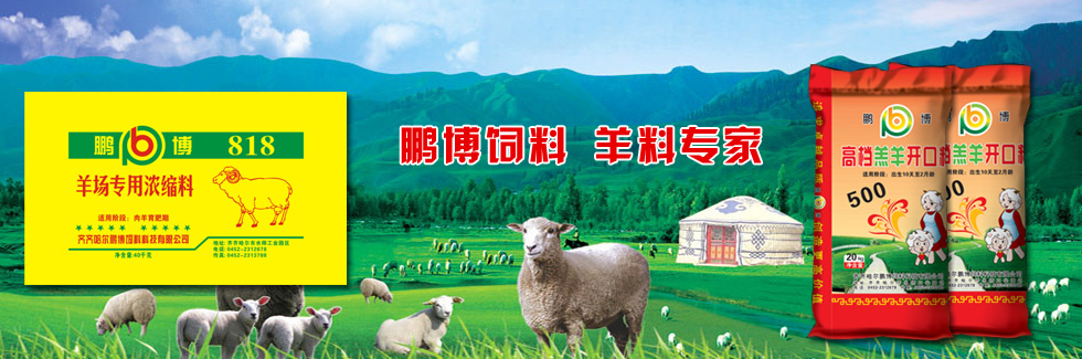 鵬博飼料，羊料專(zhuān)家